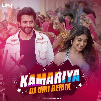 Kamariya (Remix) - DJ UMI
